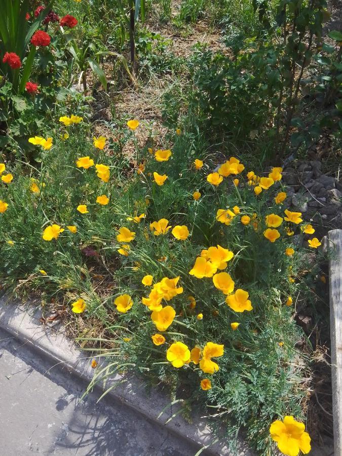 Casa De Mama Valle - อูรูบัมบา ภายนอก รูปภาพ